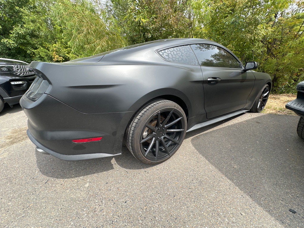 2019 Ford Mustang Image 4