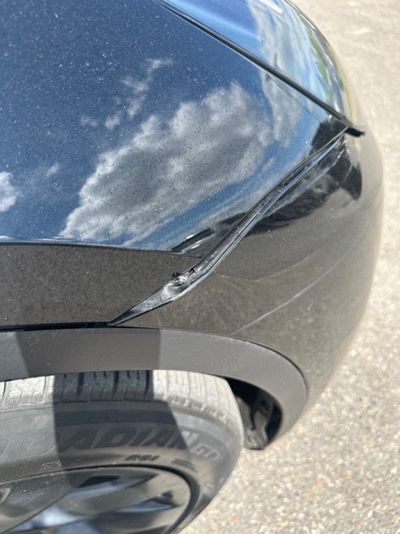 2023 Tesla Model Y Image 7