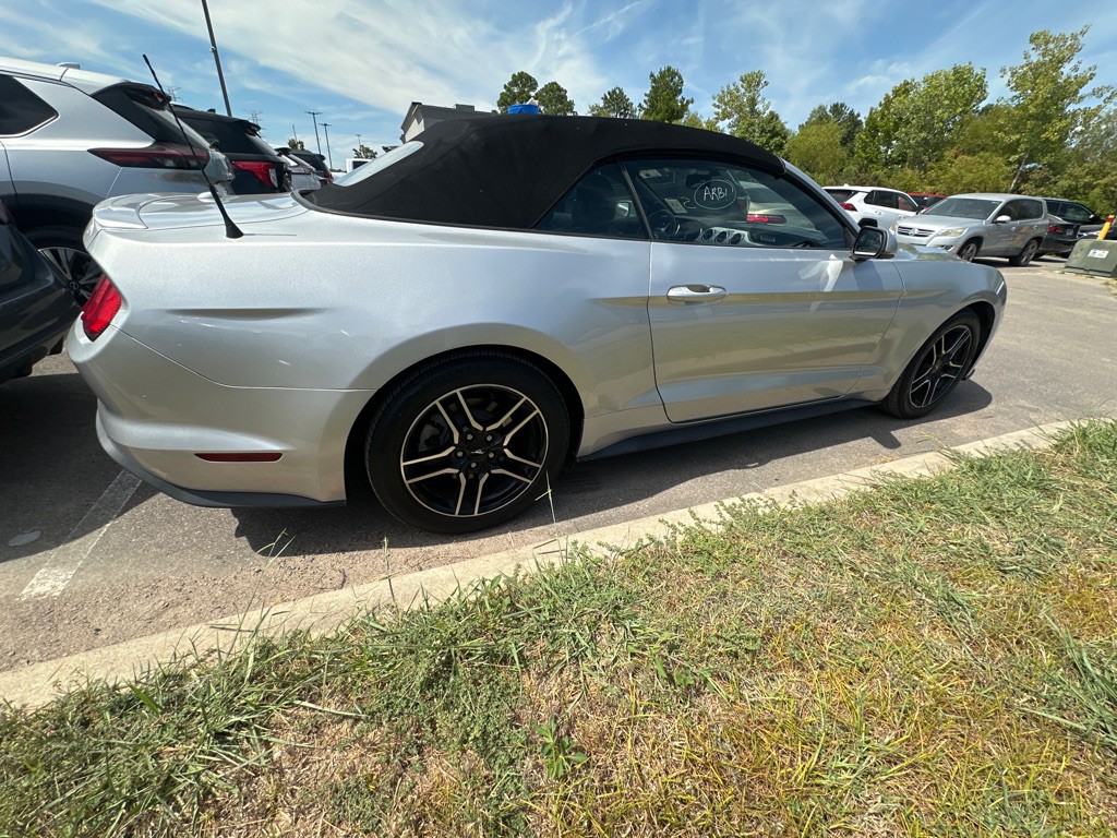 2019 Ford Mustang Image 4