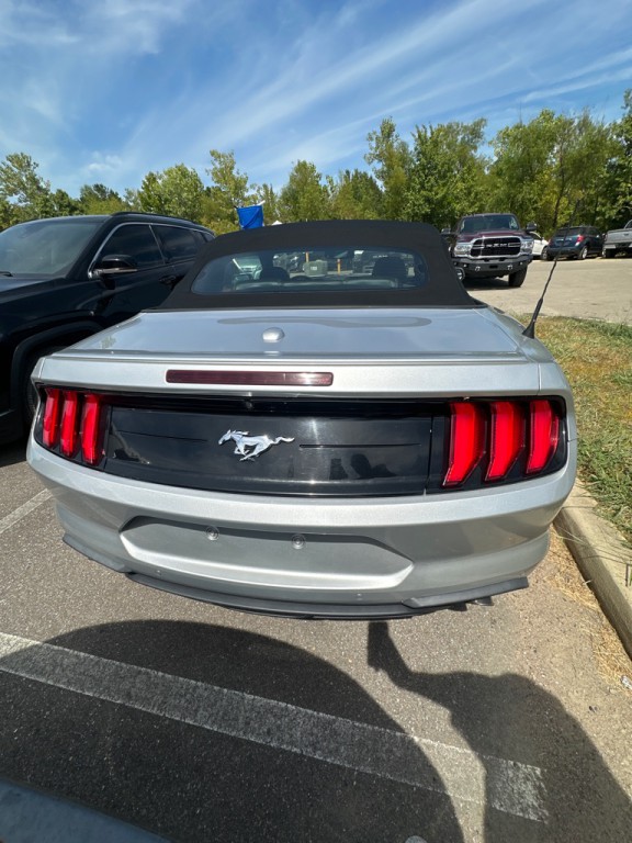 2019 Ford Mustang Image 5