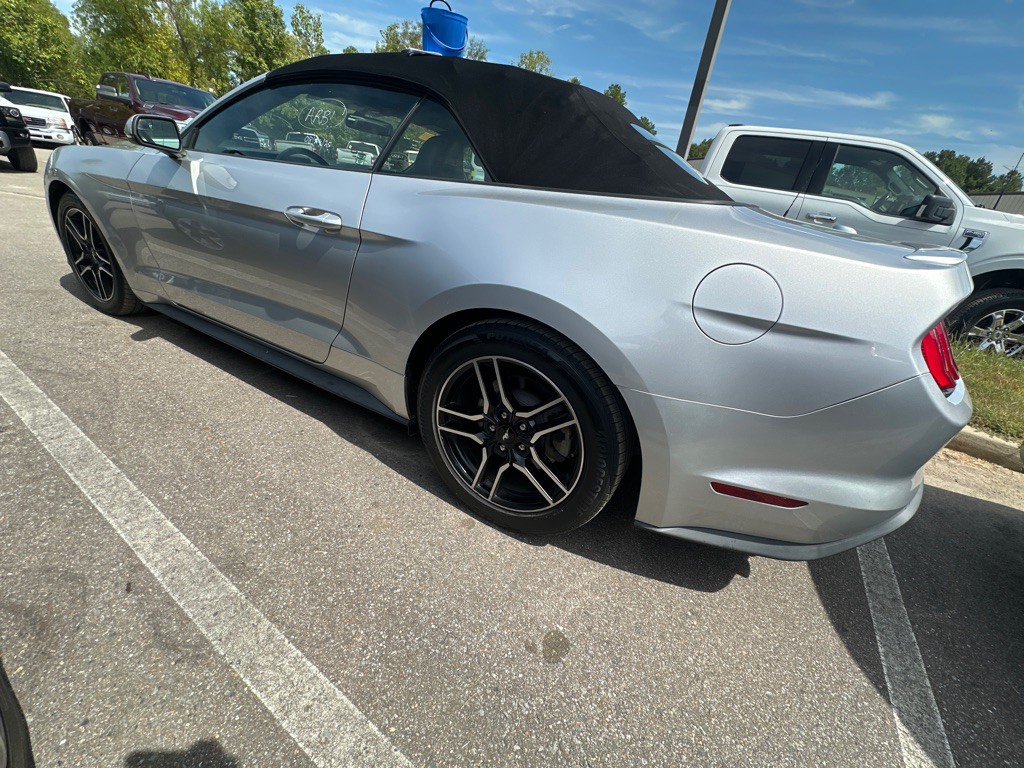 2019 Ford Mustang Image 6