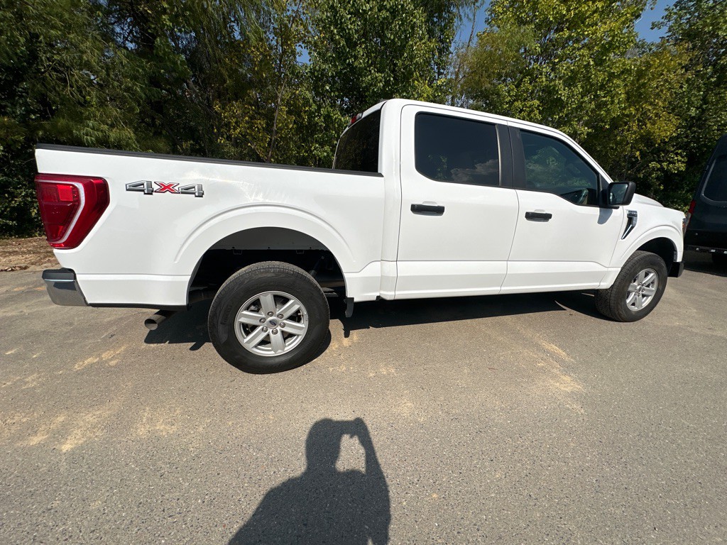 2023 Ford F-150 Image 4