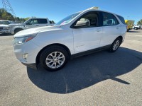 Image for 2019 Chevrolet Equinox LS ID: 6908611