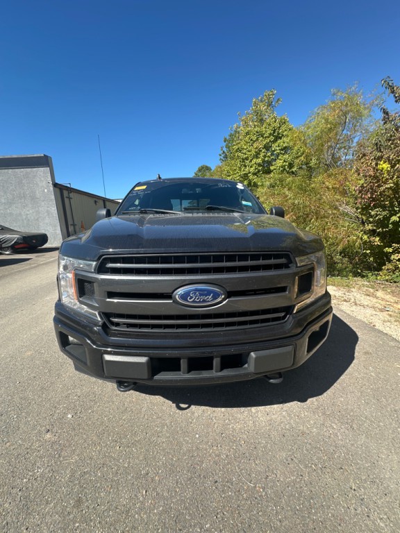 2019 Ford F-150 Image 2