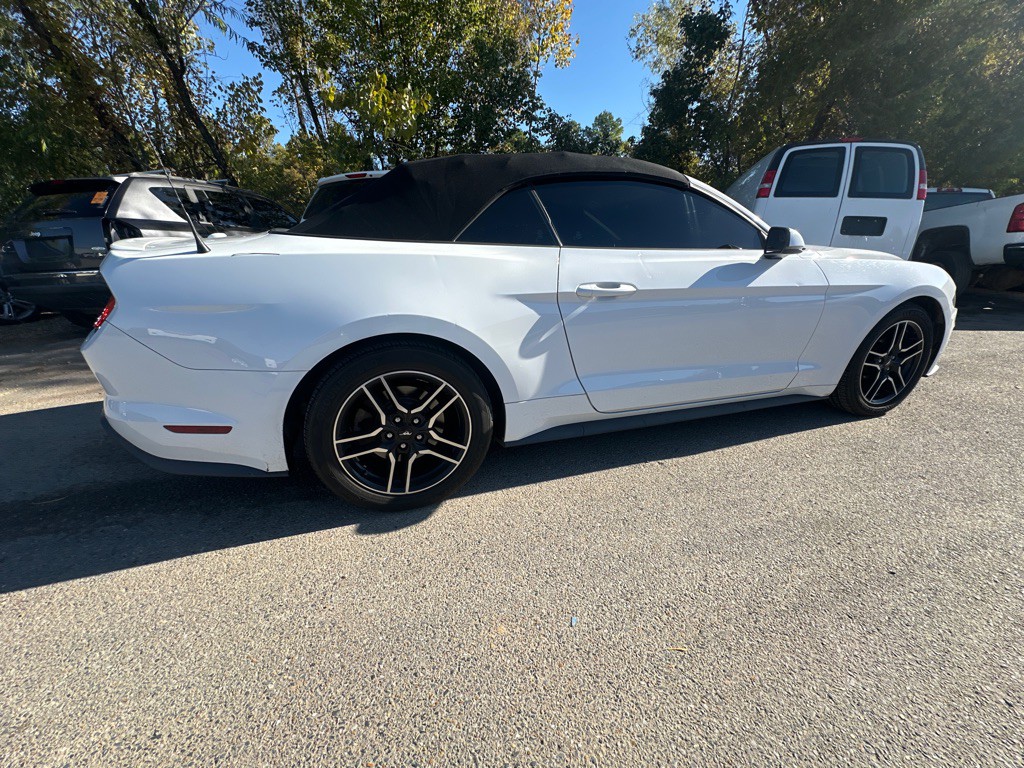 2020 Ford Mustang Image 4
