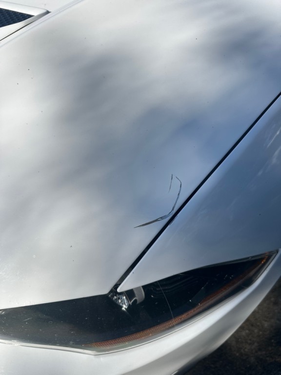 2020 Ford Mustang Image 7