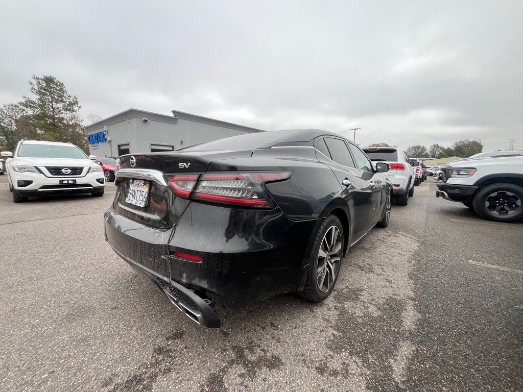 2019 Nissan Maxima Image 2