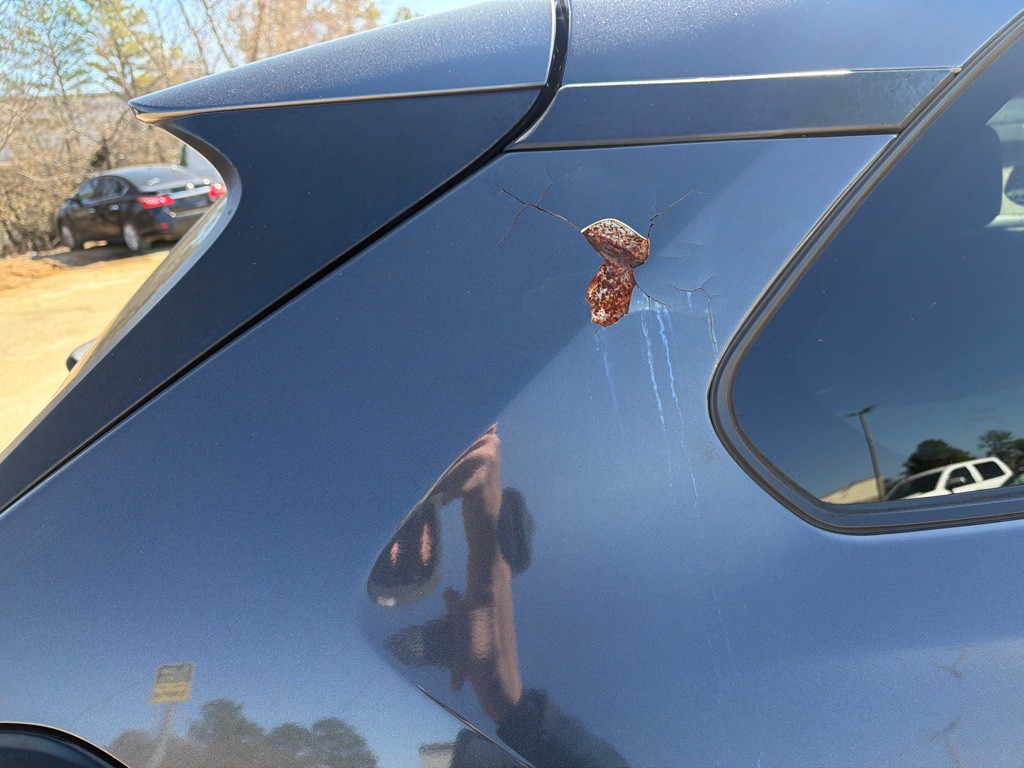 2019 Toyota Rav4 Image 9