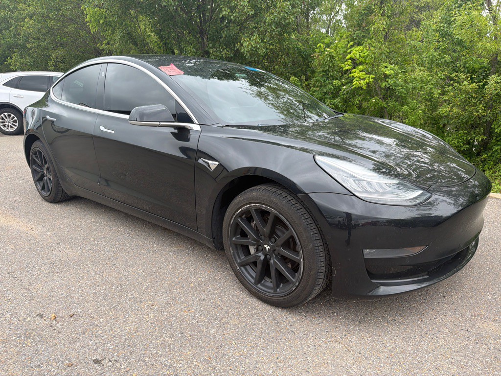 2019 Tesla Model 3 Image 3