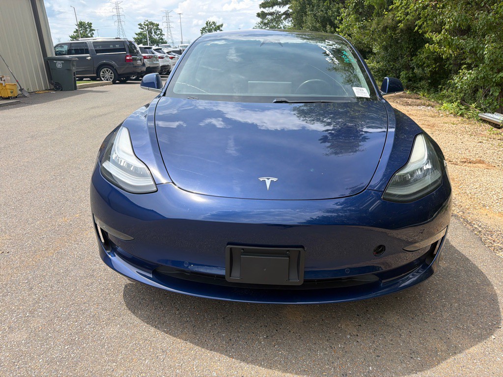 2019 Tesla Model 3 Image 2