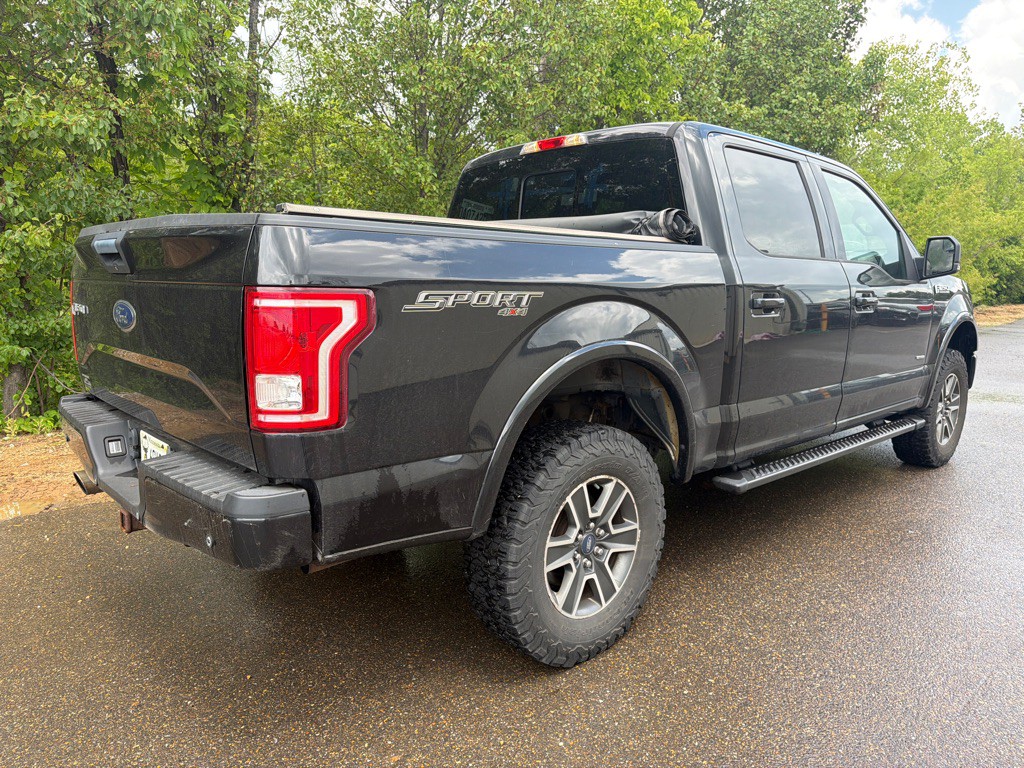 2015 Ford F-150 Image 4