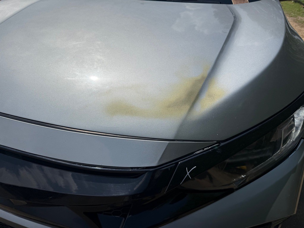 2021 Honda Civic Image 9