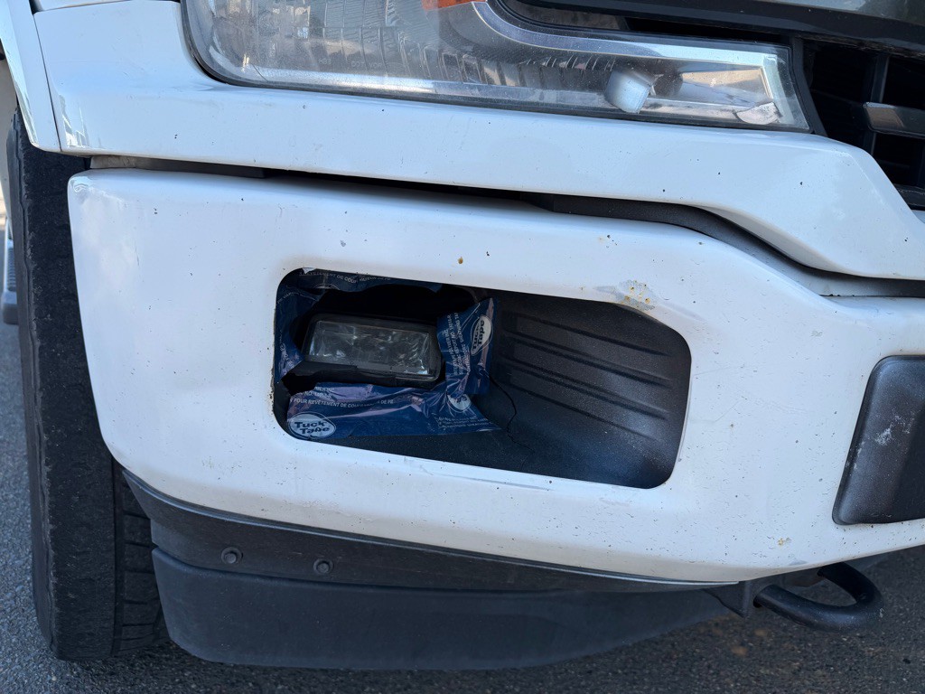 2019 Ford F-150 Image 1