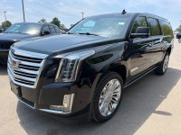Image for 2020 Cadillac Escalade Esv Platinum ID: 7537887