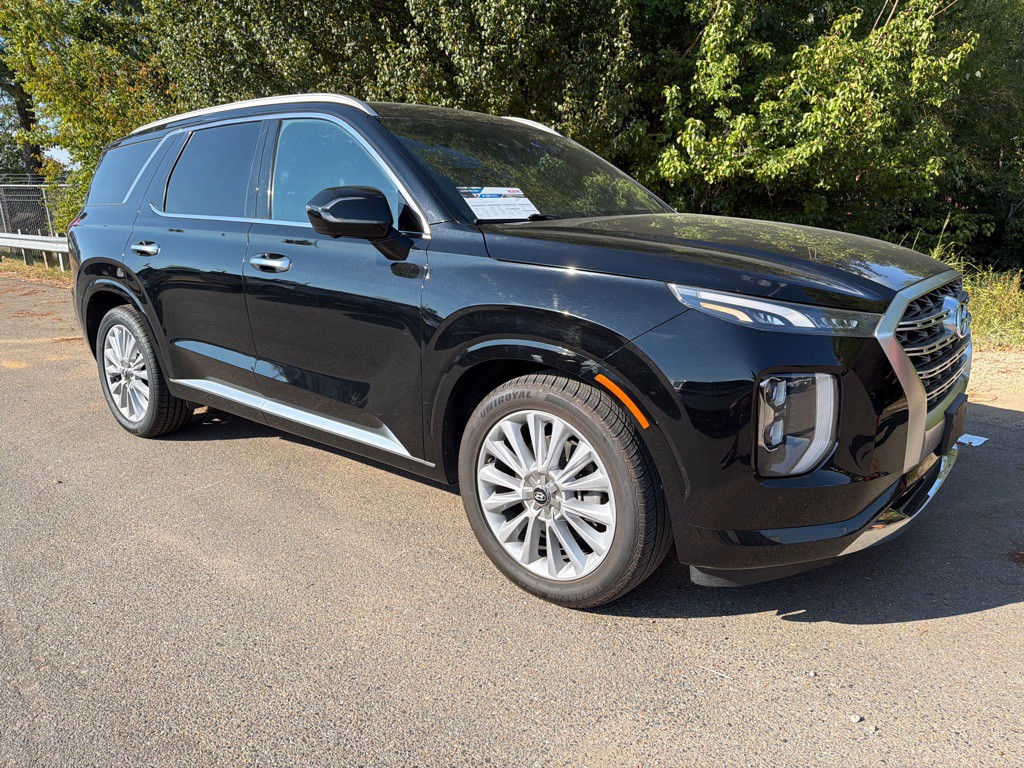 2020 Hyundai Palisade Image 3