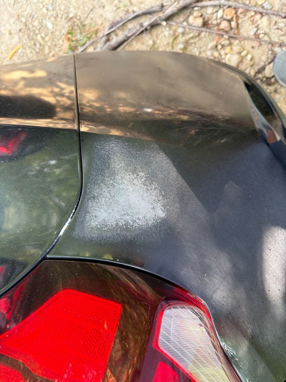 2019 Hyundai Veloster Image 8