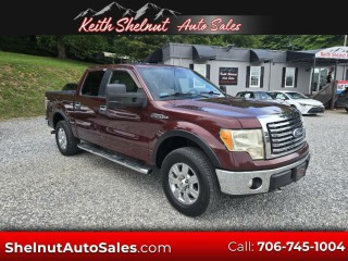 Image for 2010 Ford F-150 SuperCrew 145 in XLT ID: 7516016