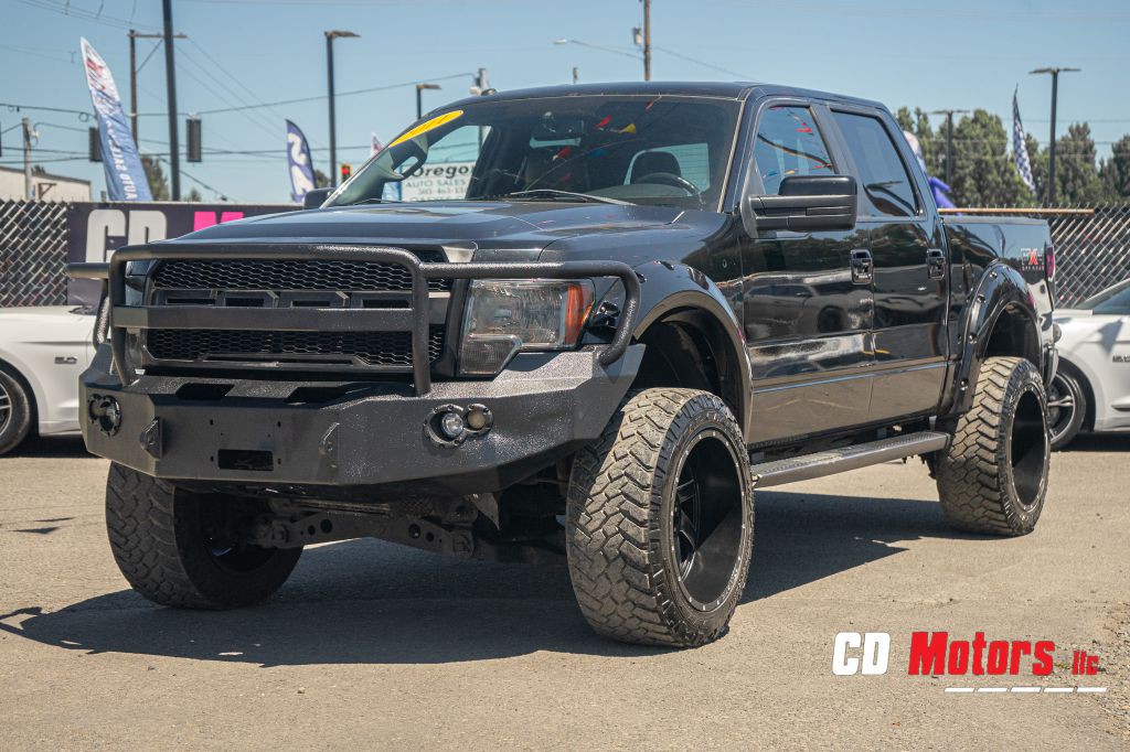 2011 Ford F-150 Image 3