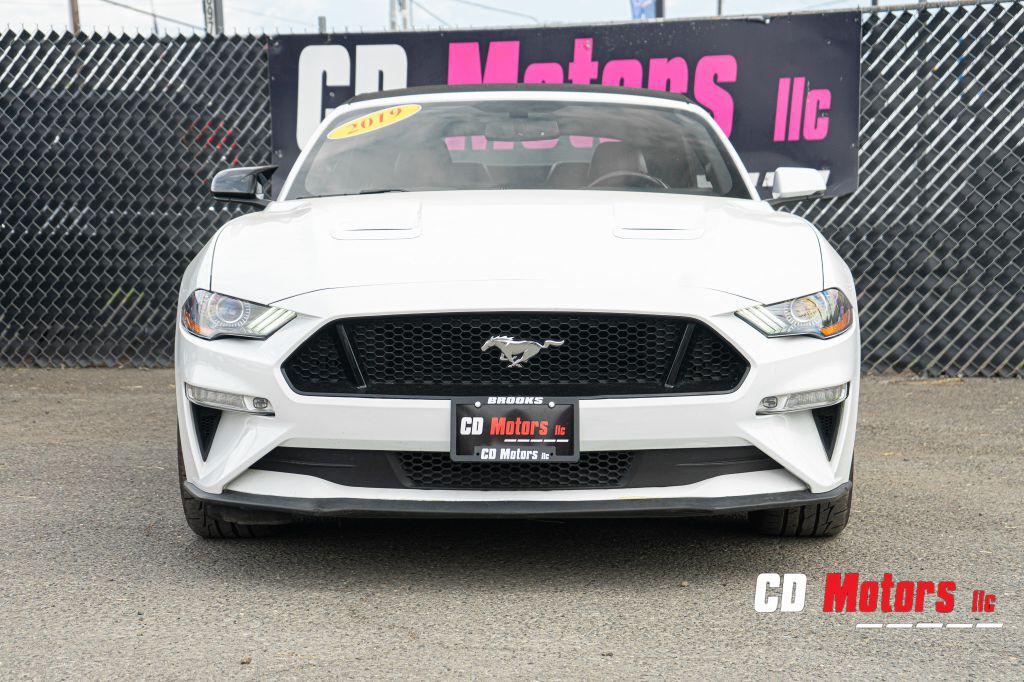 2019 Ford Mustang Image 5