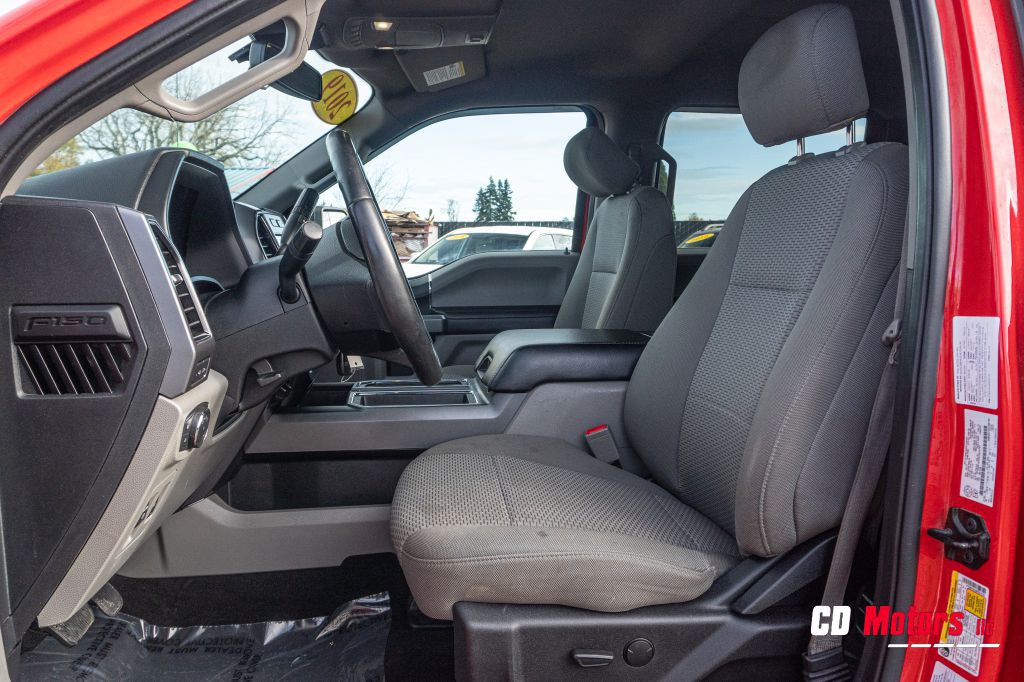 2019 Ford F-150 Image 12