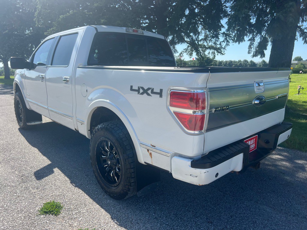 2014 Ford F-150 Image 3