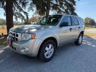 Image for 2010 Ford Escape XLT ID: 6850360