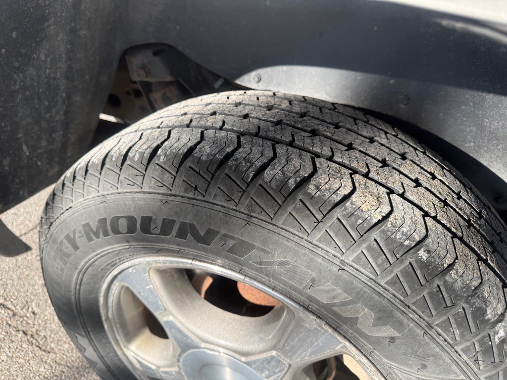 2008 Chevrolet Trailblazer Image 12