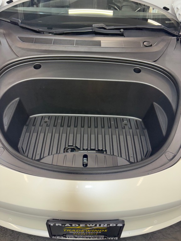 2020 Tesla Model 3 Image 12
