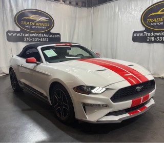 Image for 2019 Ford Mustang Premium ID: 6811504