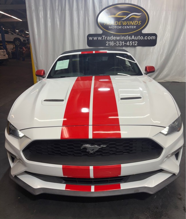 2019 Ford Mustang Image 2