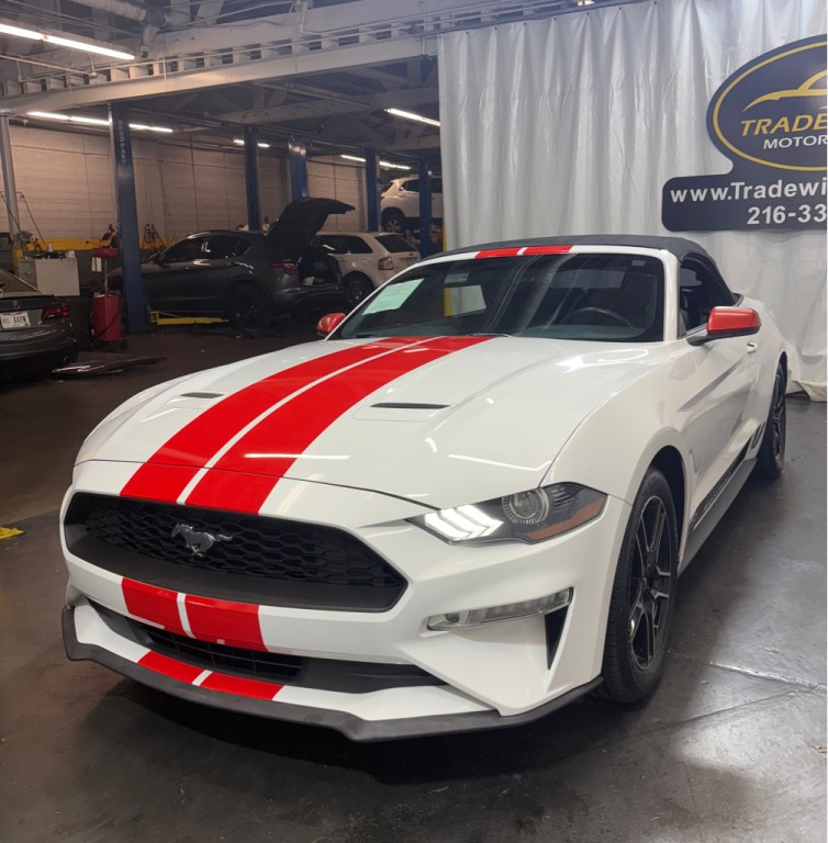 2019 Ford Mustang Image 3