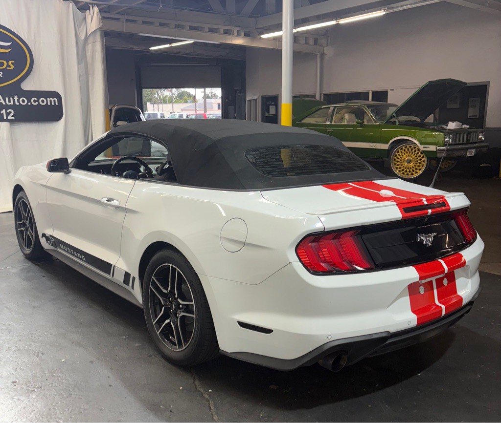 2019 Ford Mustang Image 4