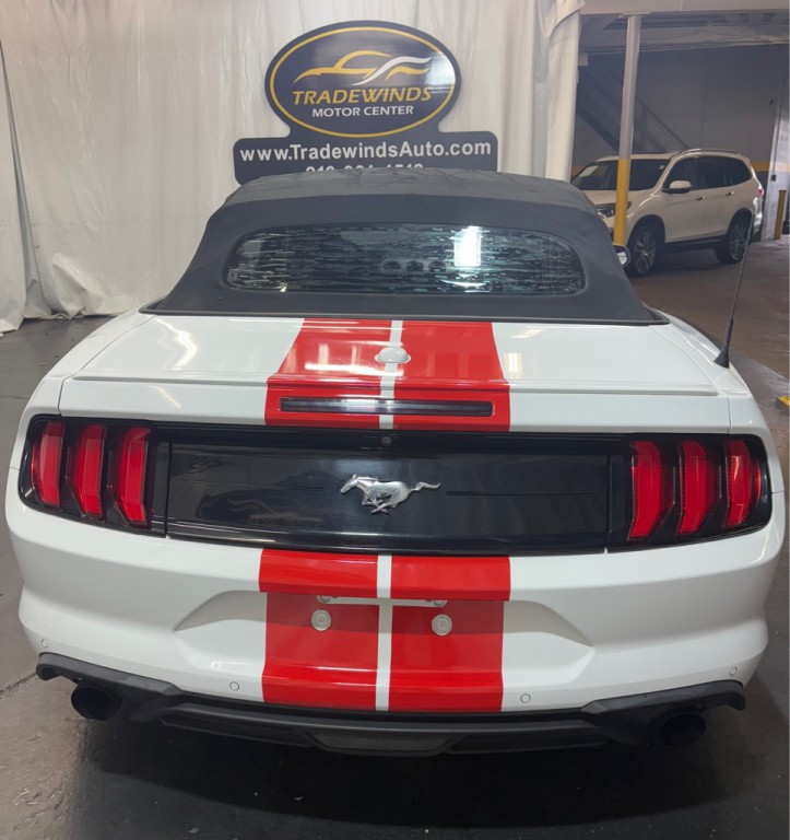2019 Ford Mustang Image 5