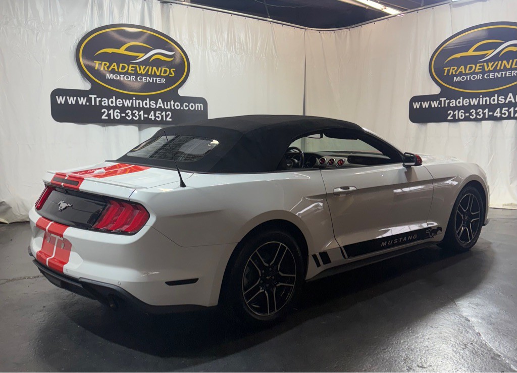 2019 Ford Mustang Image 6