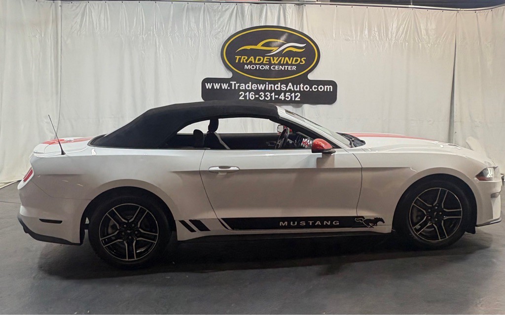 2019 Ford Mustang Image 7