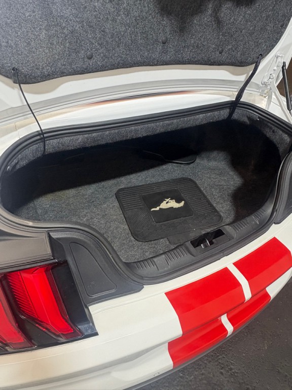 2019 Ford Mustang Image 8