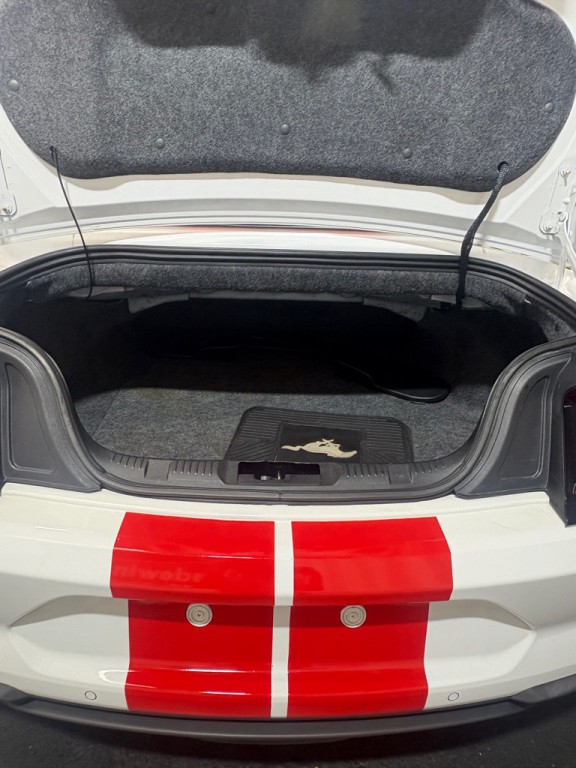 2019 Ford Mustang Image 9