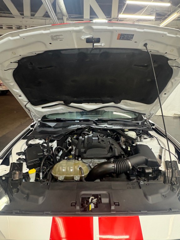 2019 Ford Mustang Image 12