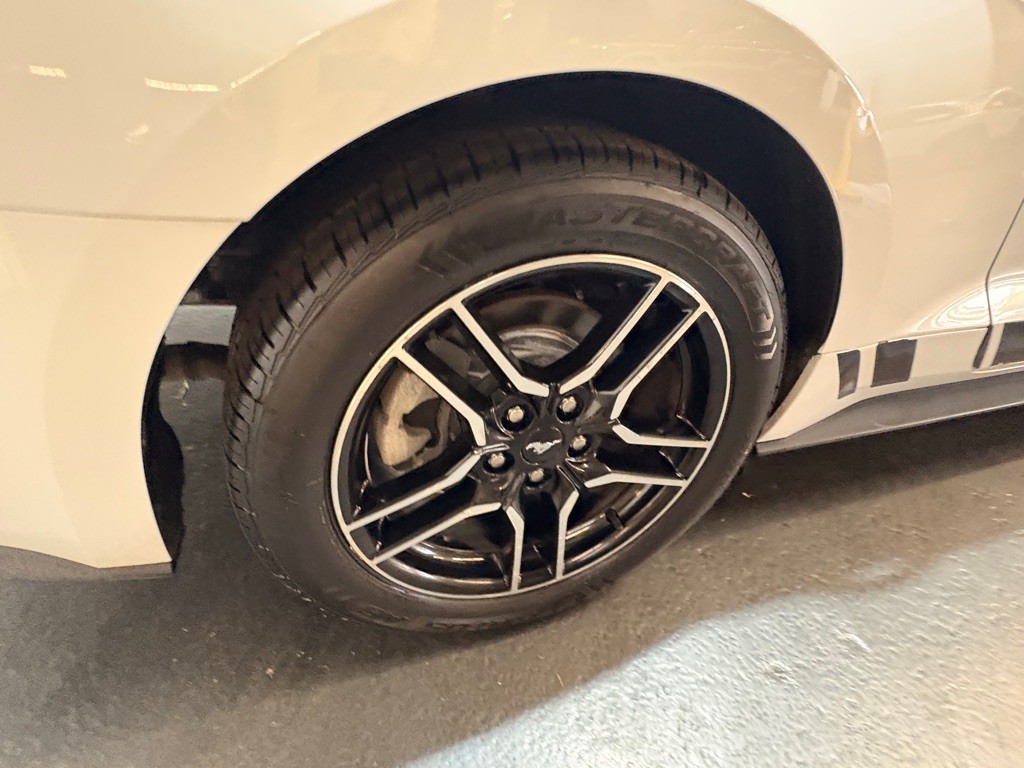 2019 Ford Mustang Image 41