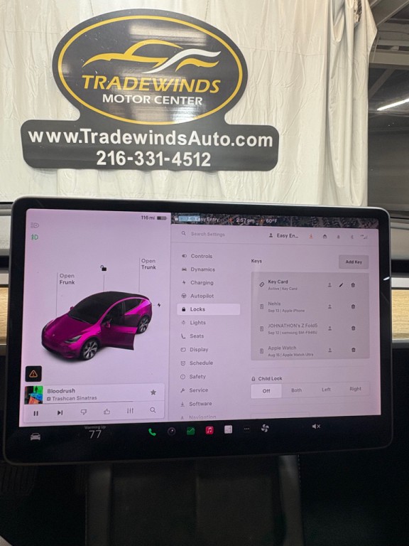 2021 Tesla Model Y Image 18