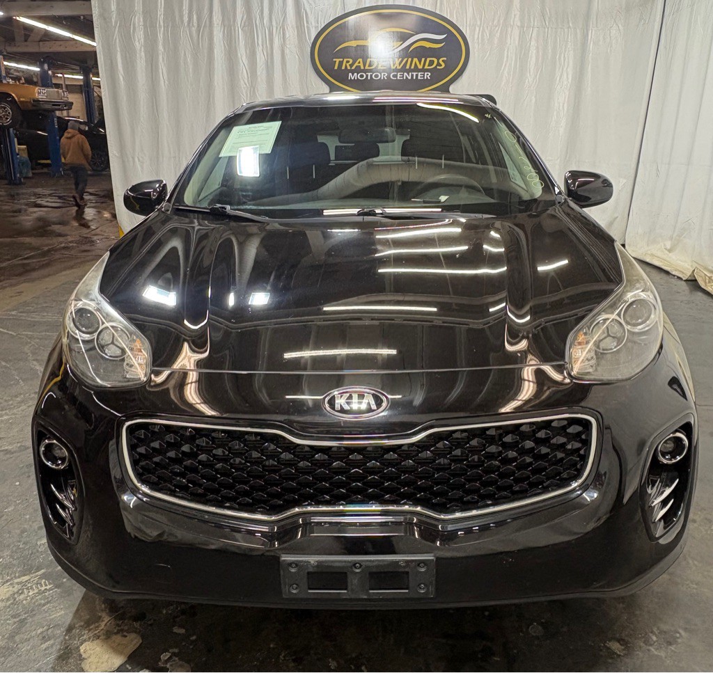 2019 Kia Sportage Image 2