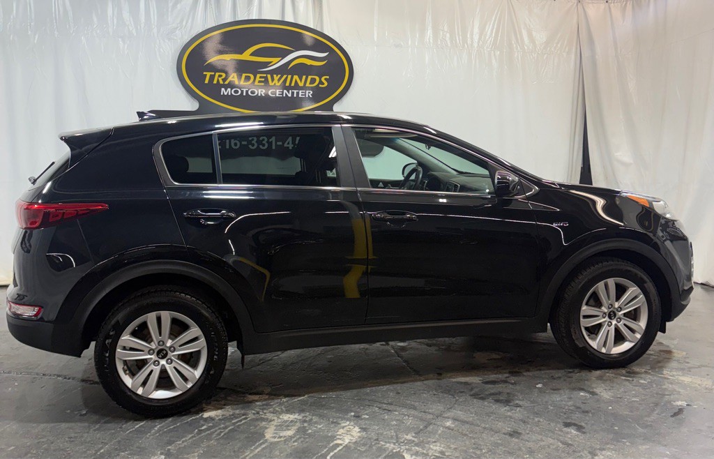 2019 Kia Sportage Image 7