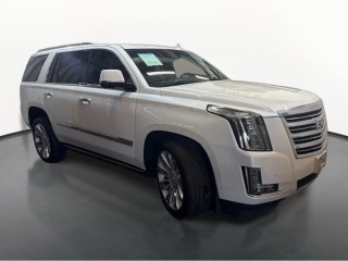Image for 2016 Cadillac Escalade Platinum ID: 7706071
