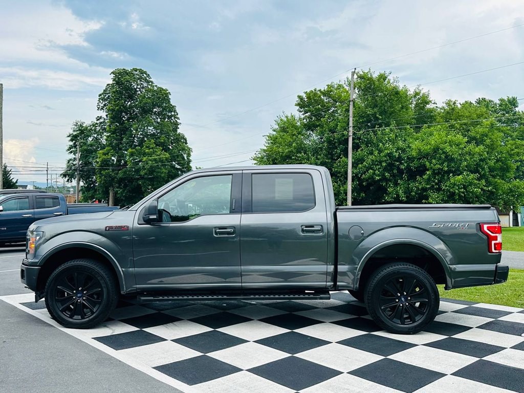 2019 Ford F-150 Image 9