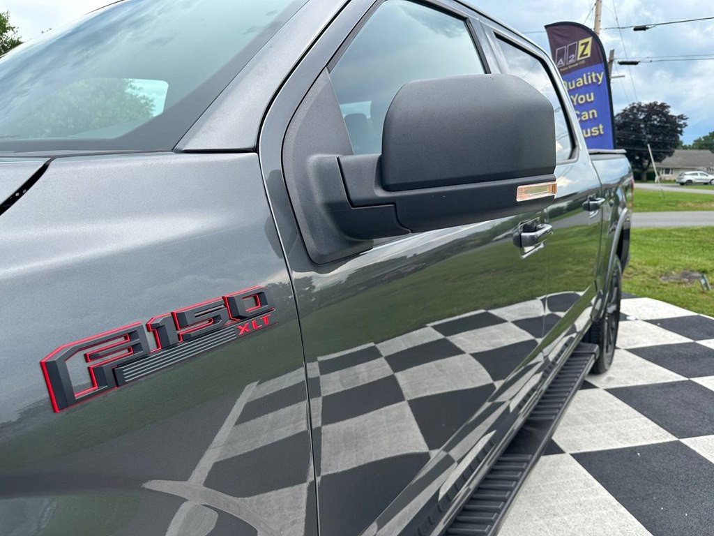 2019 Ford F-150 Image 12