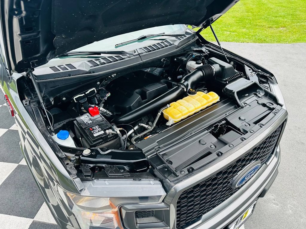 2019 Ford F-150 Image 45