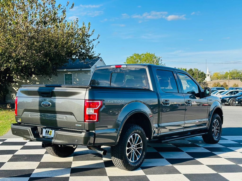 2019 Ford F-150 Image 5