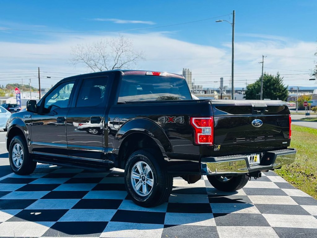 2019 Ford F-150 Image 7