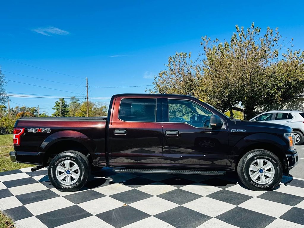 2019 Ford F-150 Image 8