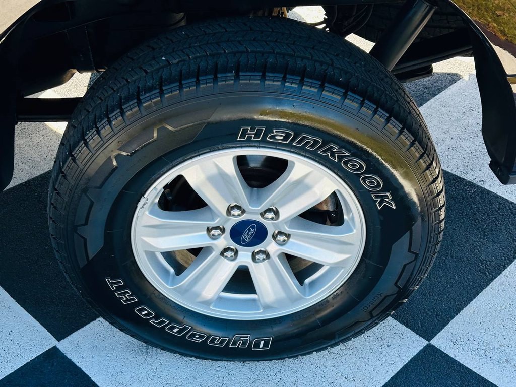 2019 Ford F-150 Image 45